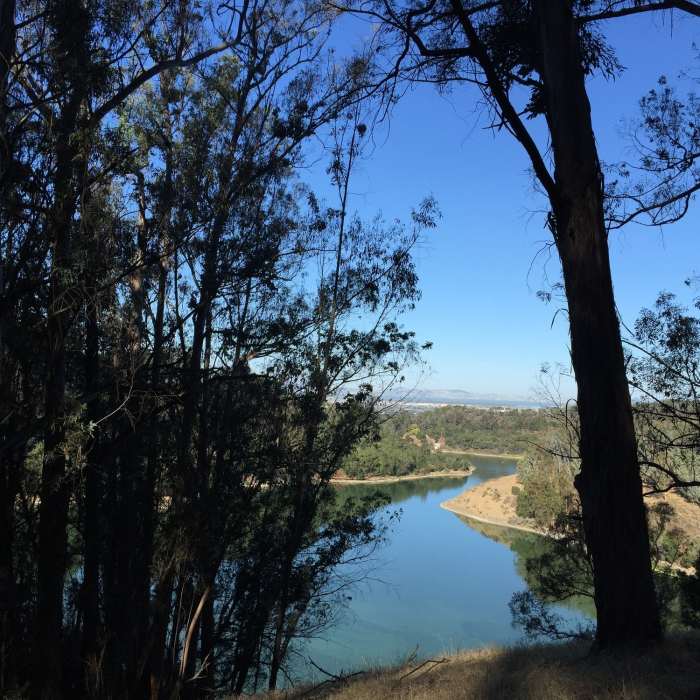 Near EBRPD Trails Challenge 2017: Anthony Chabot