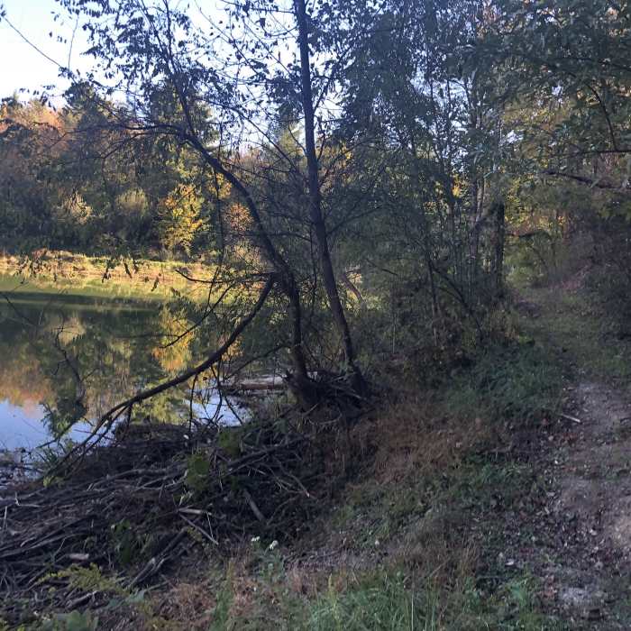 Near Upper Pond