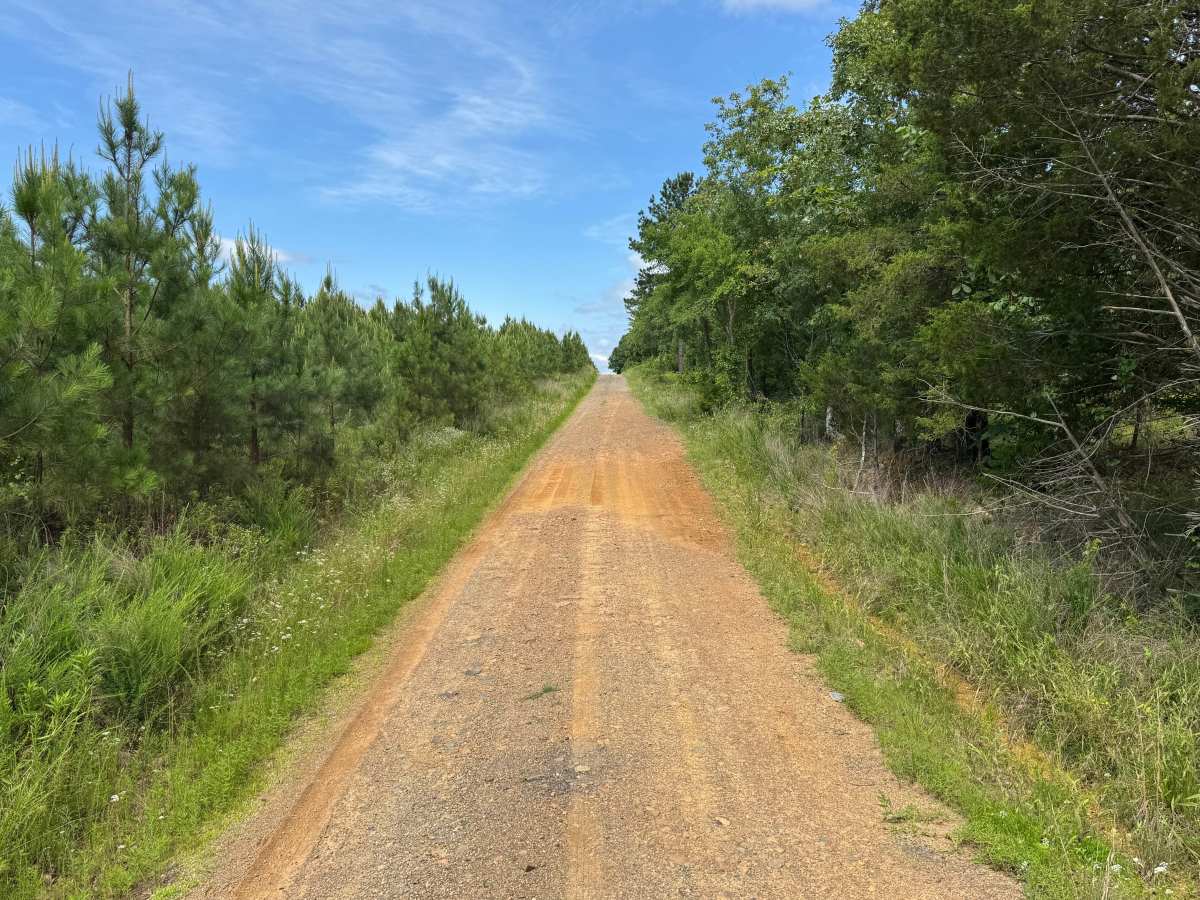 Onyx Trail photo 3