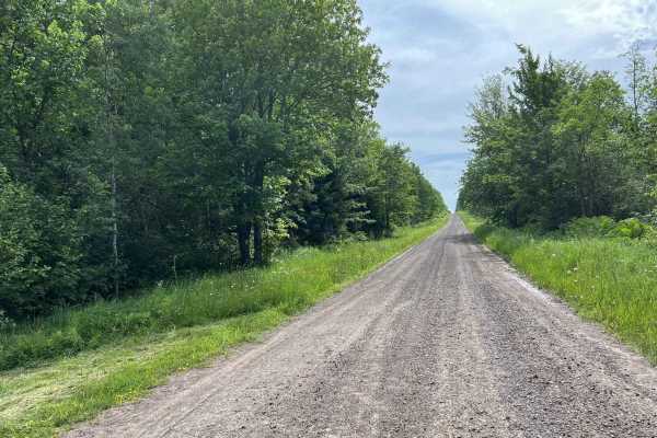 Swanson Road