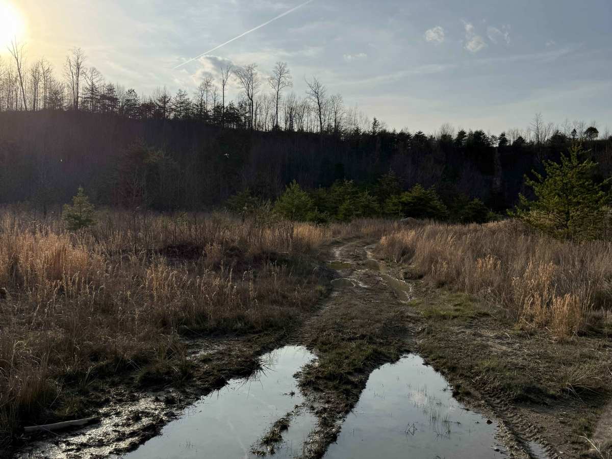 Q29 photo 2