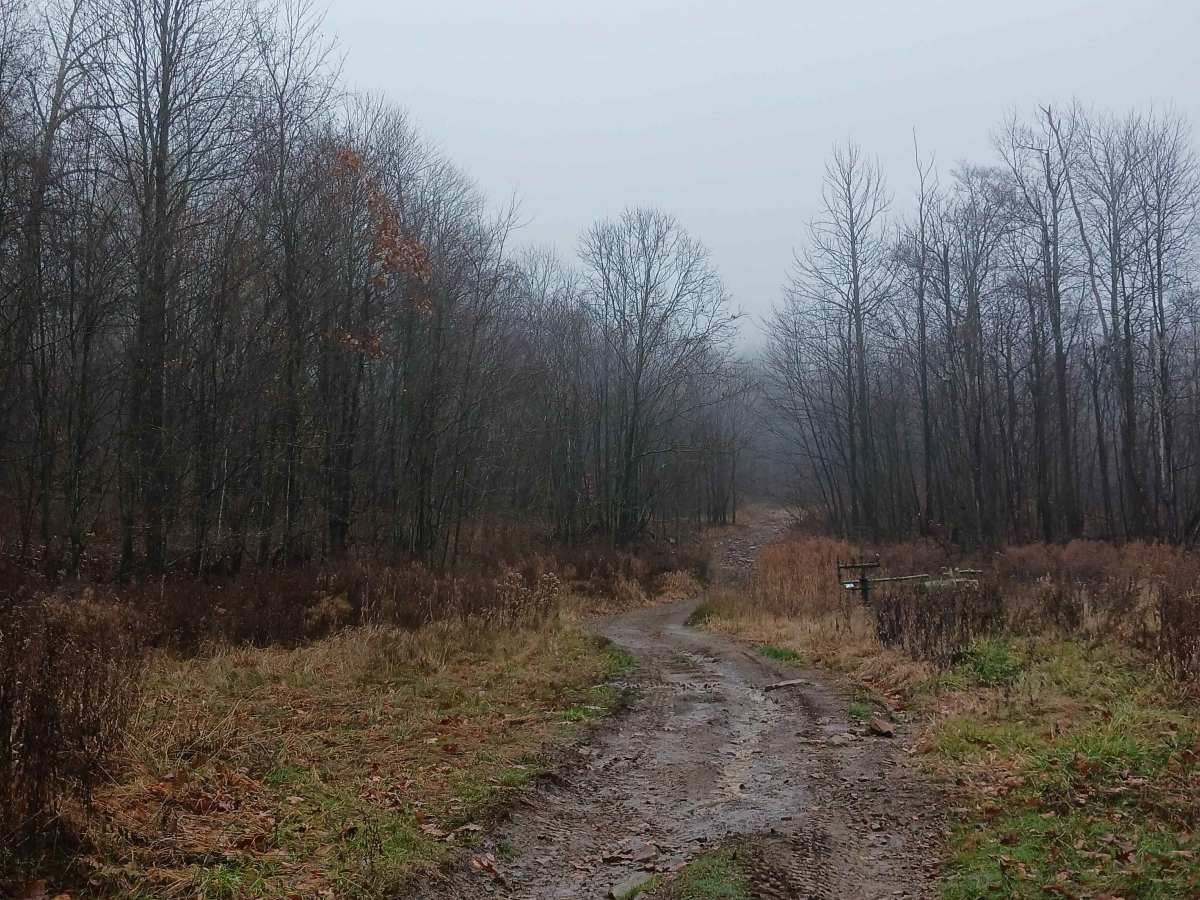 Rocks Gas Well - Rock Run Recreation Area photo 2