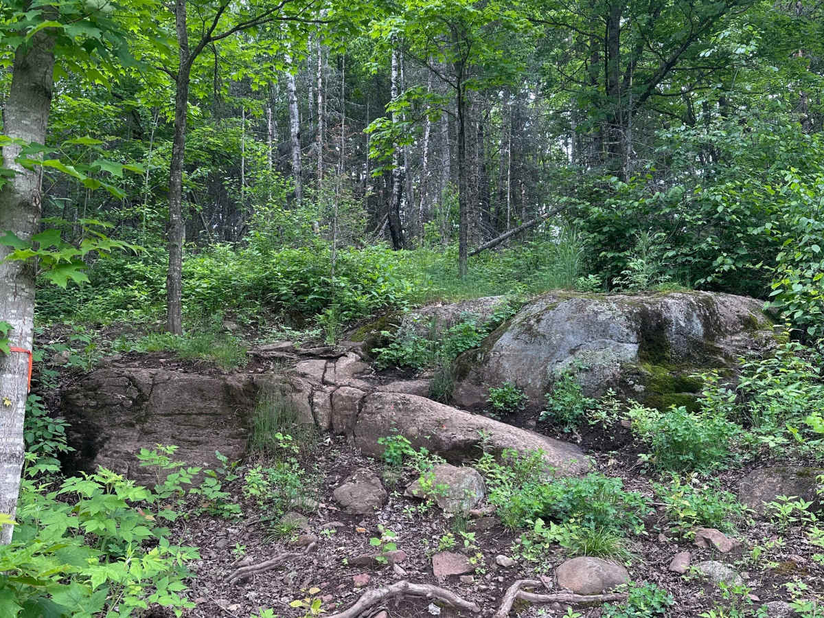 Alger Grade - Trail 3 photo 5