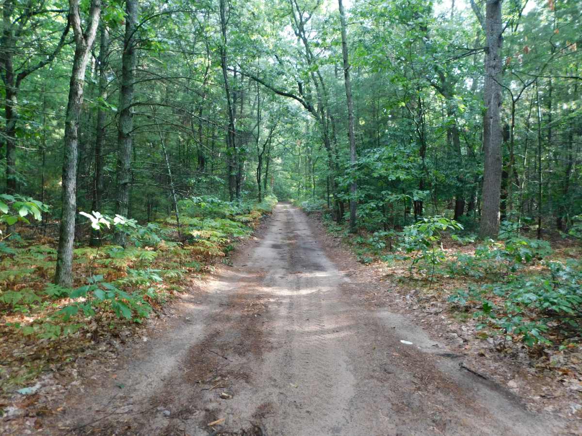 Webster Road photo 5