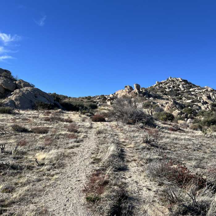 Near Wilson Peak via Culp Valley