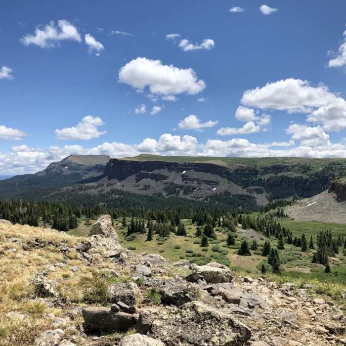 Near Devil's Causeway Loop