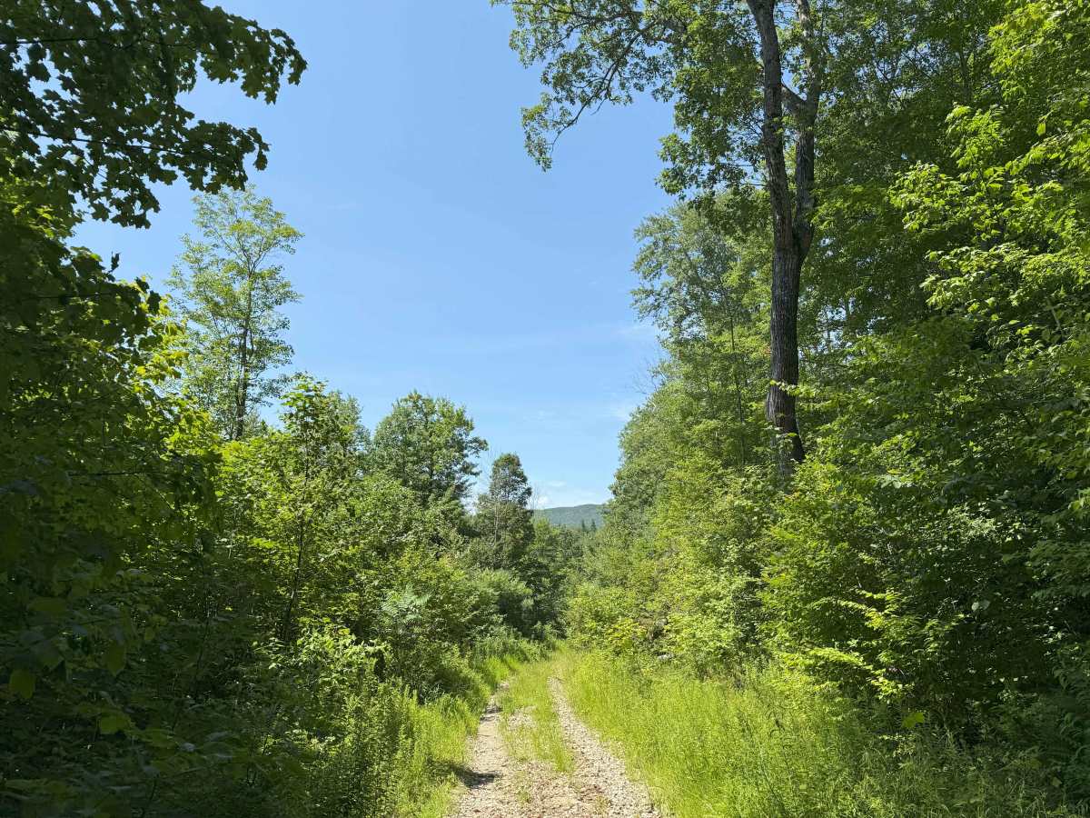 Thompson Road photo 4