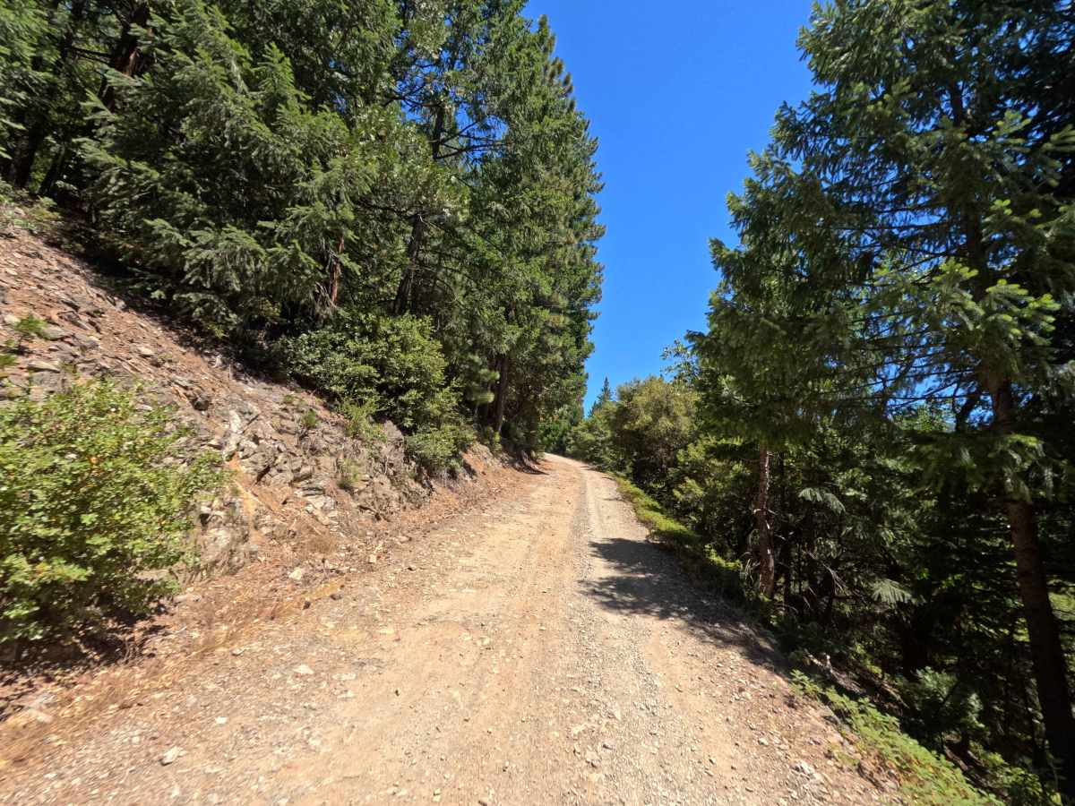 Sierra Buttes Road photo 4