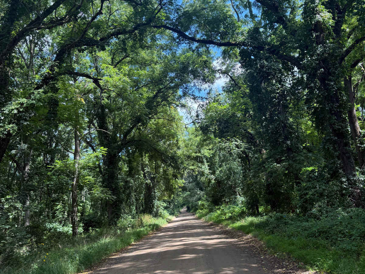 Glenn East Trail trail photo