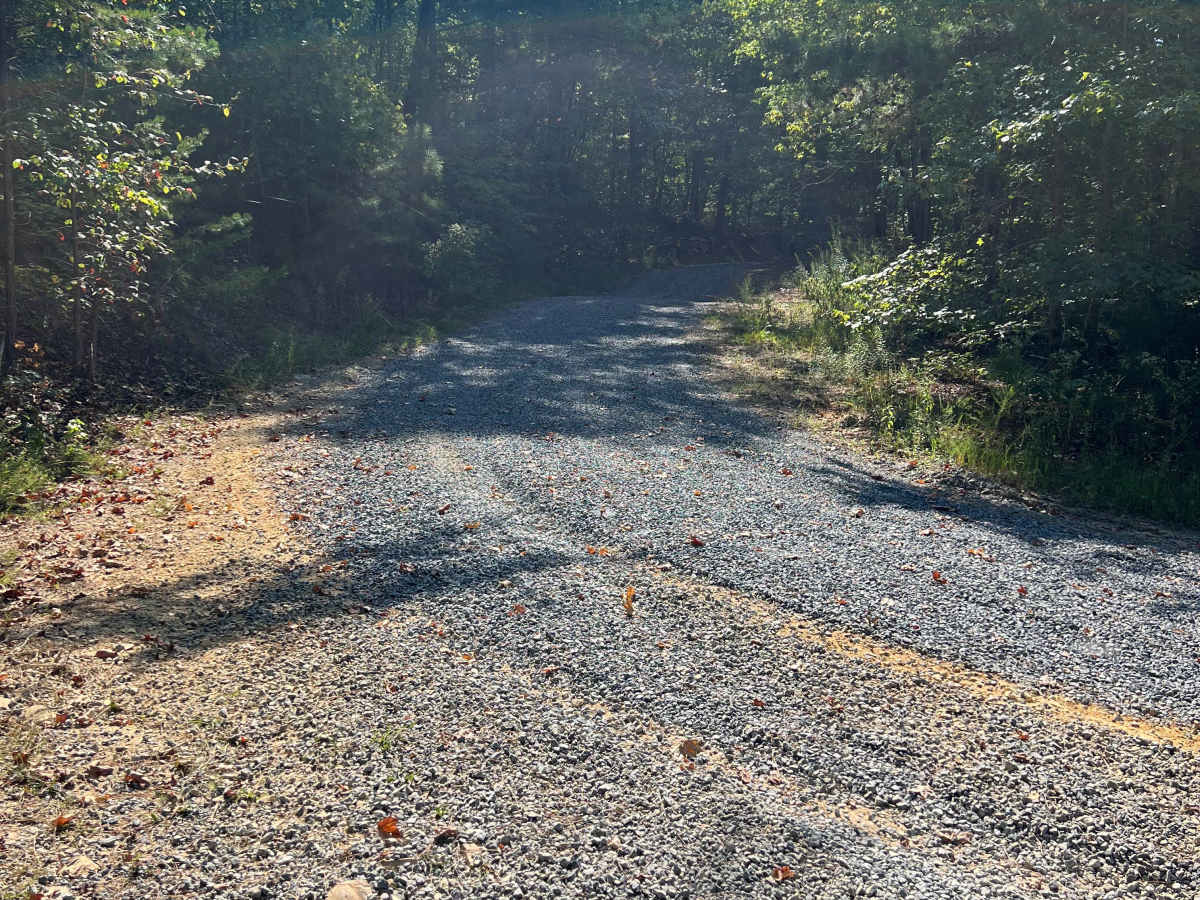 Blue Springs Branch D - FS 955D trail photo