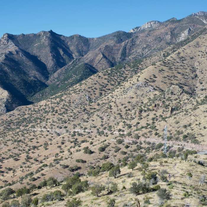 Near Joe's Canyon Trail