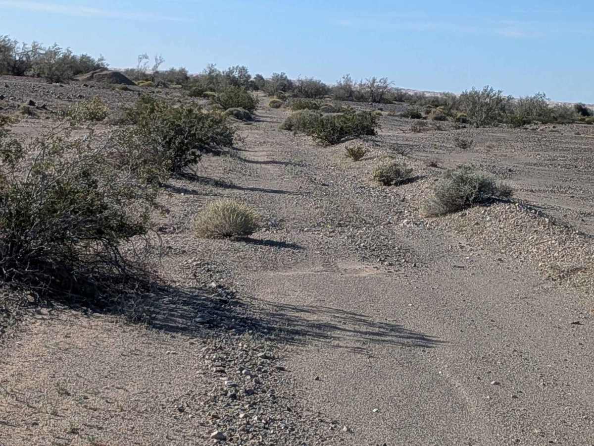 BLM 619 photo 2