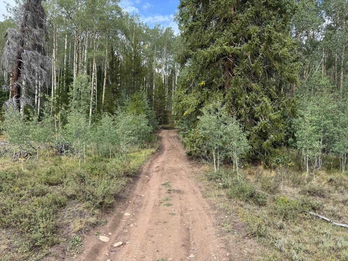 Ranch Creek Road photo 4