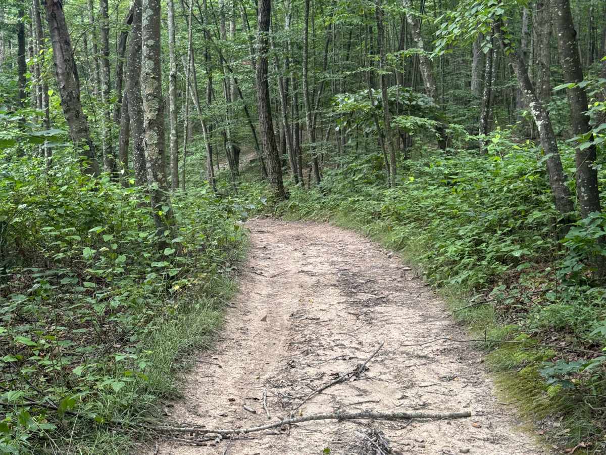 Trail 81 photo 3