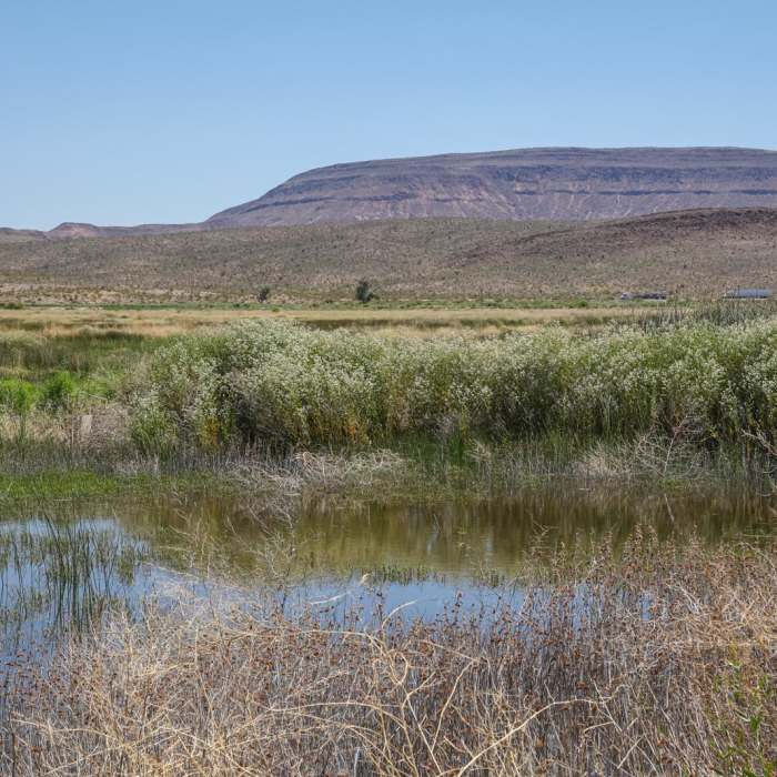 Near Dove Dike Trail Near Dove Dike Trail