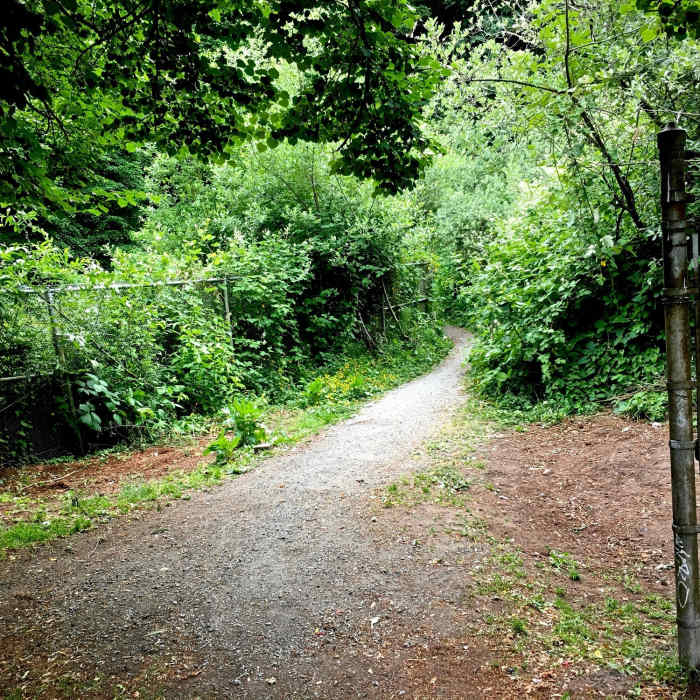 Near Jackson Park Trail