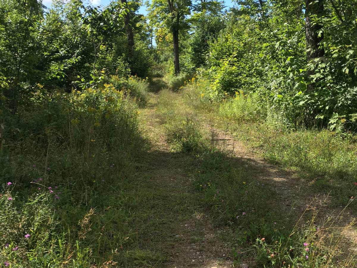 Blackberry Lane photo 4