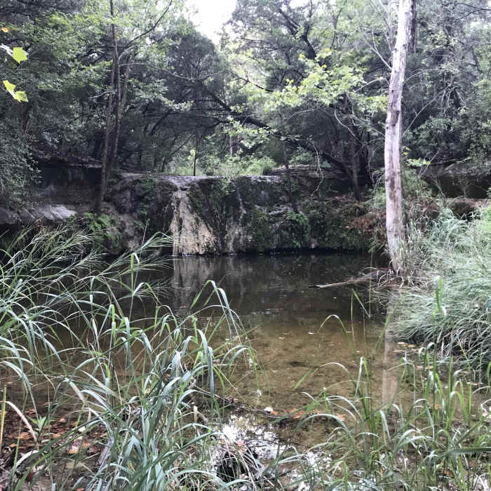 Near Wild Basin Outer Loop