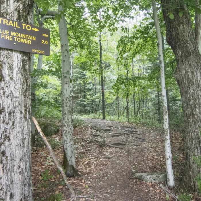 Near Blue Mountain Fire Tower Near Blue Mountain Fire Tower