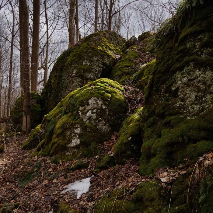 Mossy rocks west of Ghost Lake (location on map is approximate). Near Ghost Lake Trail