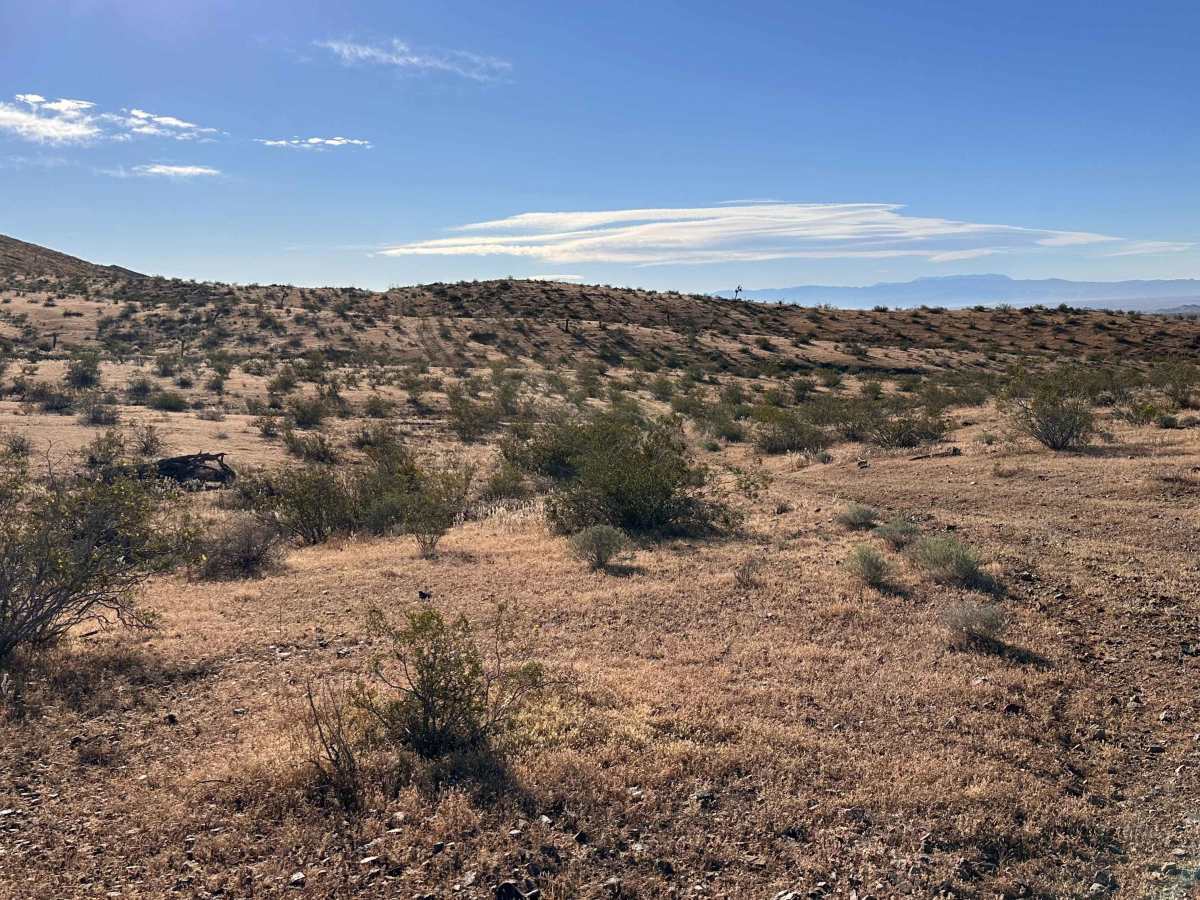 Dust Devil Trail photo 4