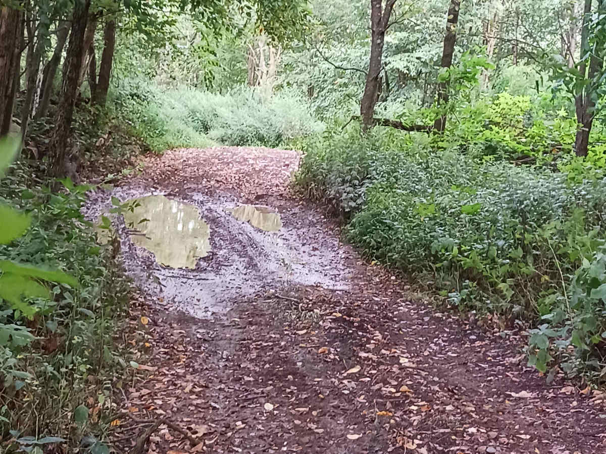 Rock Den Ridge Top Bypass - Rock Run Recreation Area photo 3