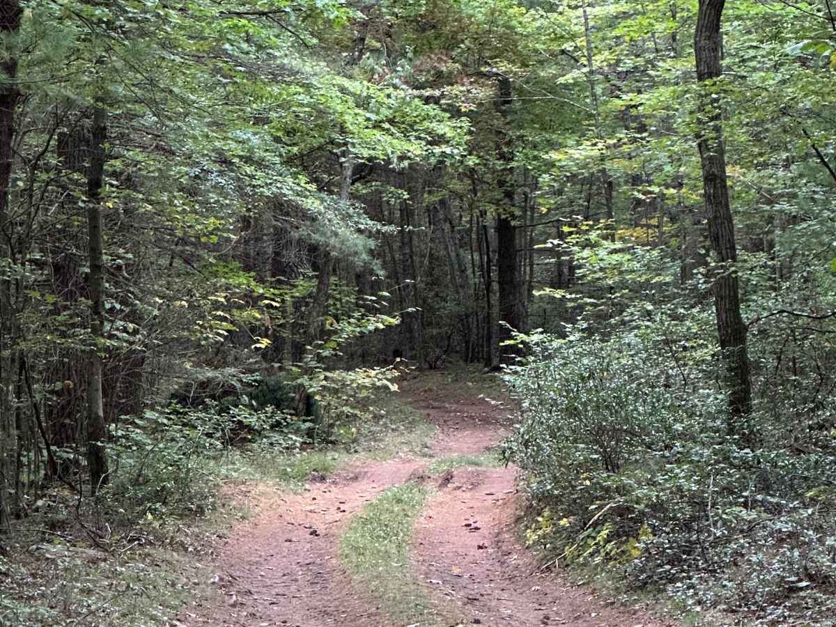 Fulk Mountain photo 3