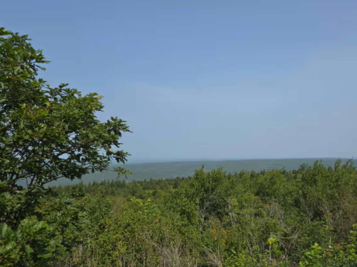 Hayward Pinnacle photo 5