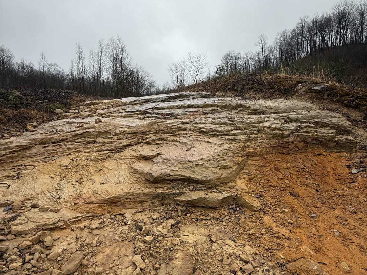 Q2A trail photo
