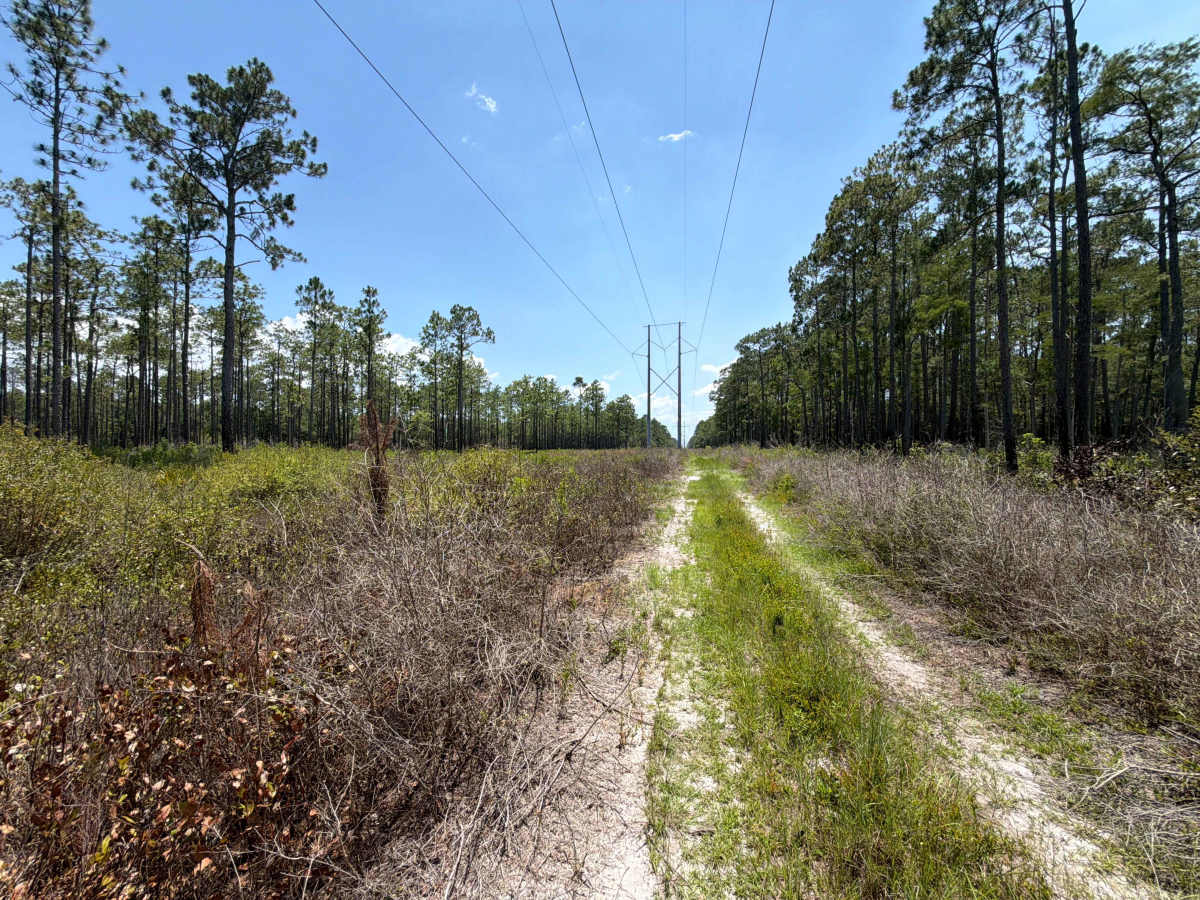 Powerline - FS 365J photo 6