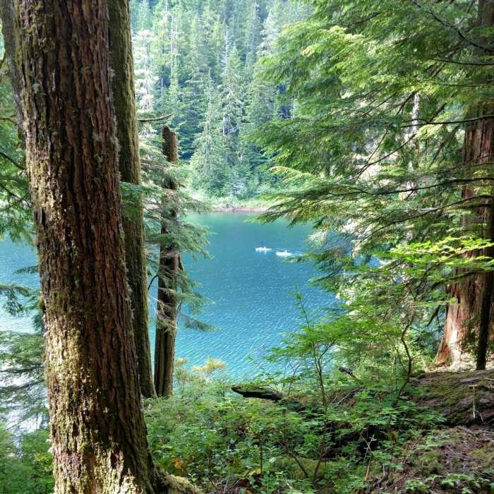 Near Spider Lake Trail #879