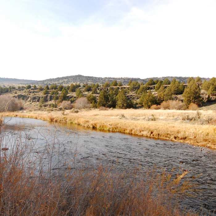 Near Donner und Blitzen River Trail Hike Near Donner und Blitzen River Trail Hike