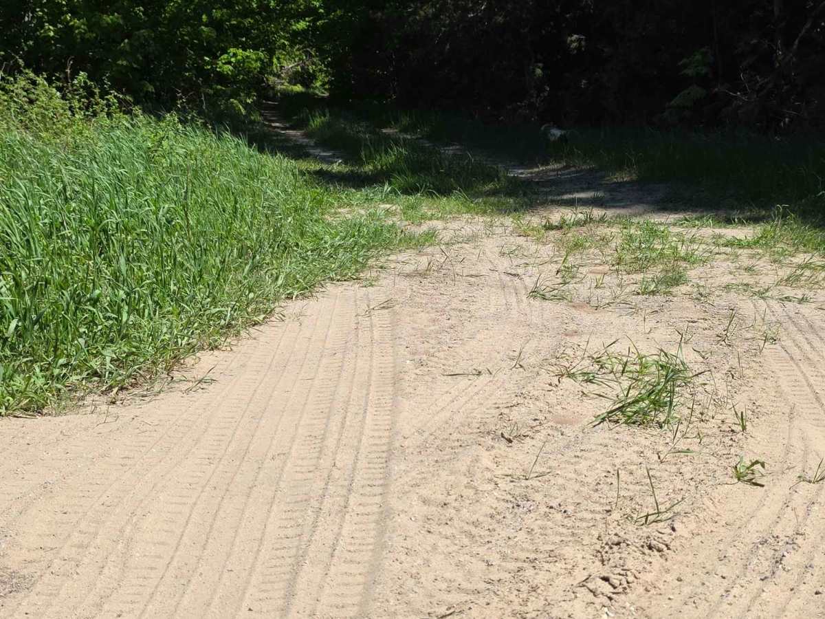 Newson Loop trail photo