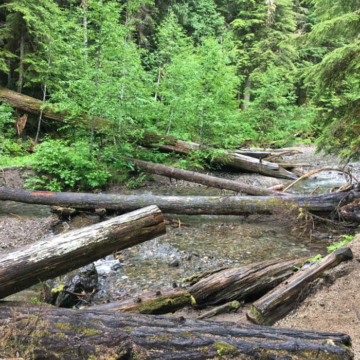 Near Iron Creek Falls