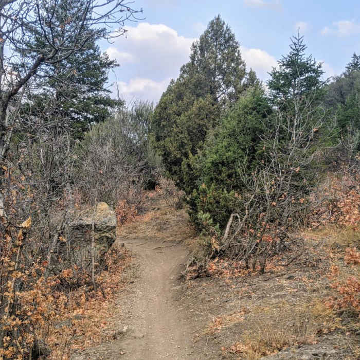 Near Providence Canyon