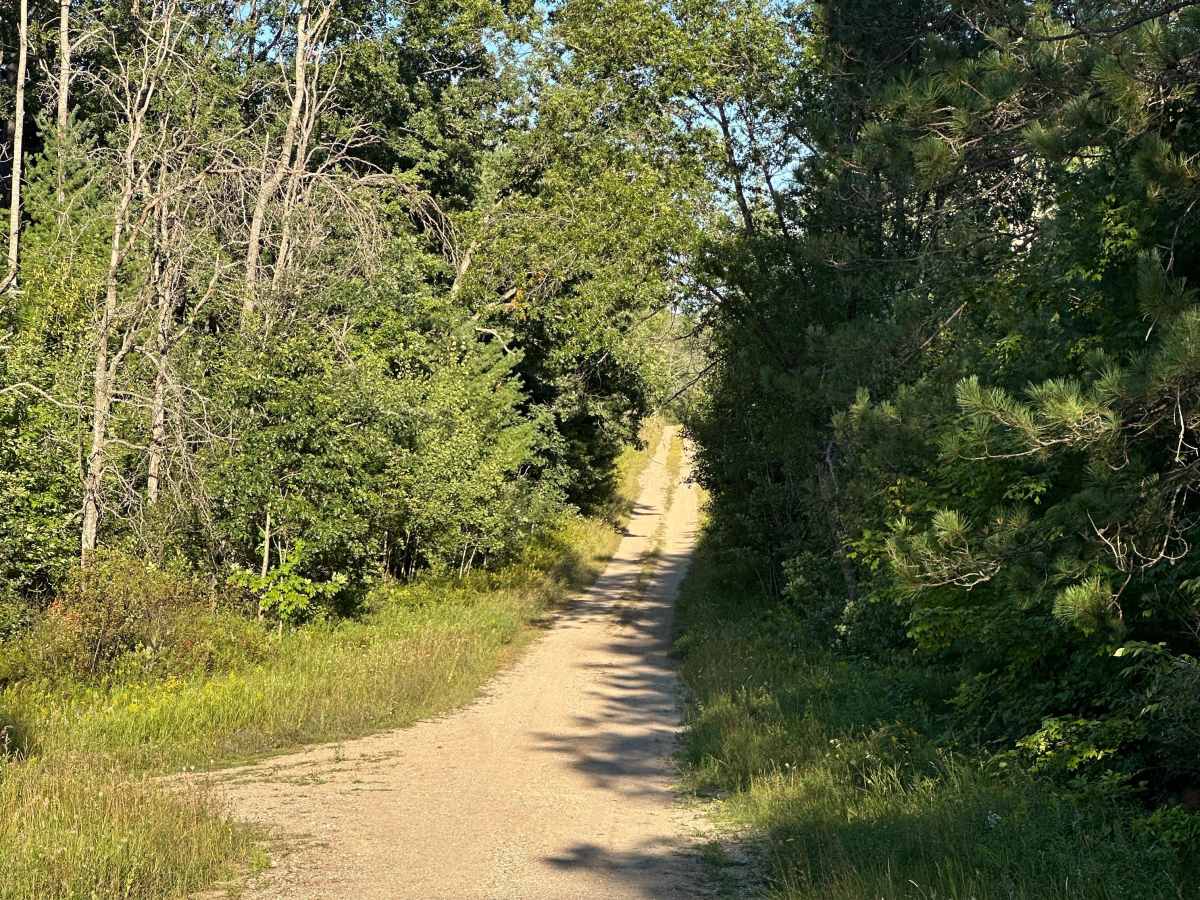 Strief Road photo 3