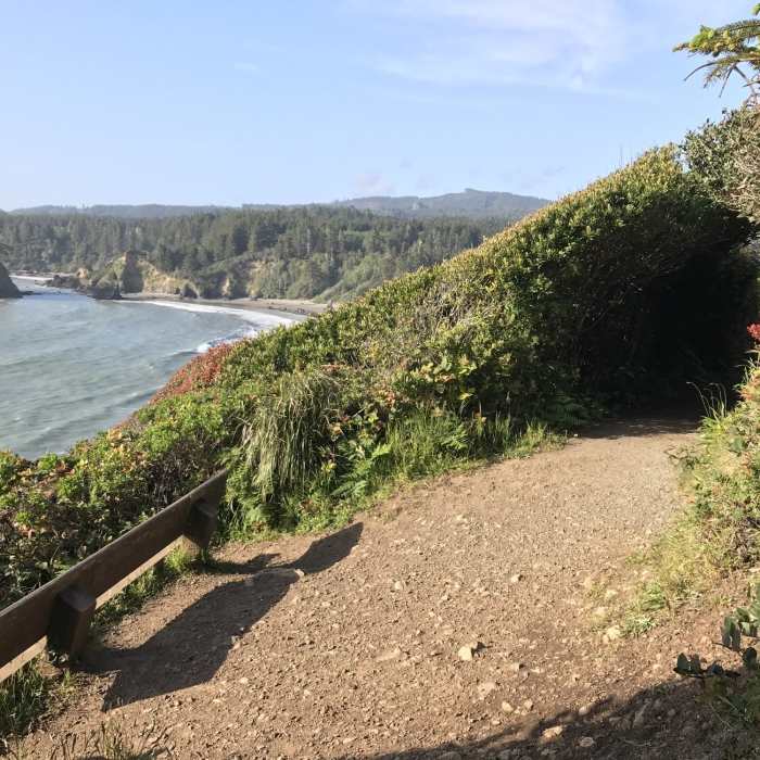 Near Trinidad Head Trail