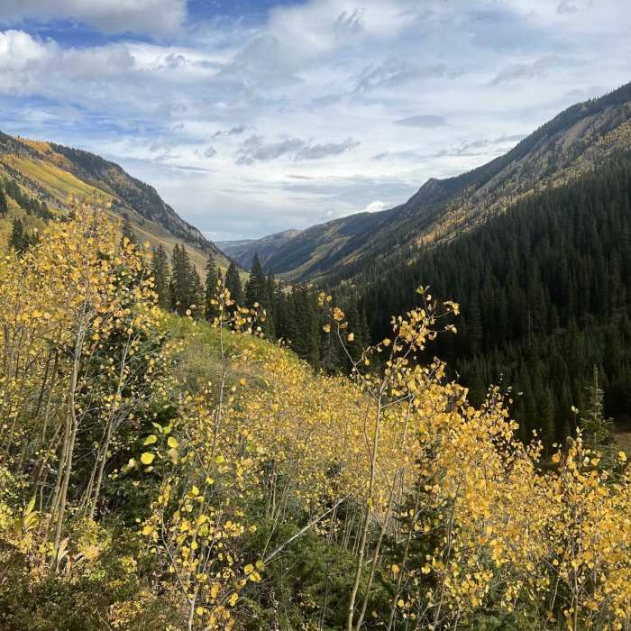 Near Conundrum Hot Springs