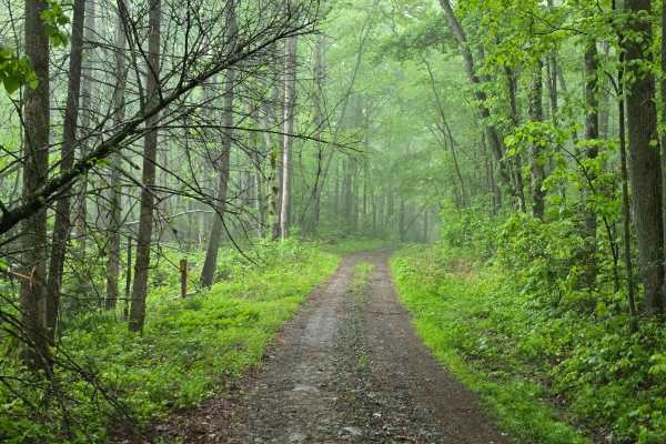 Three Fork Gap