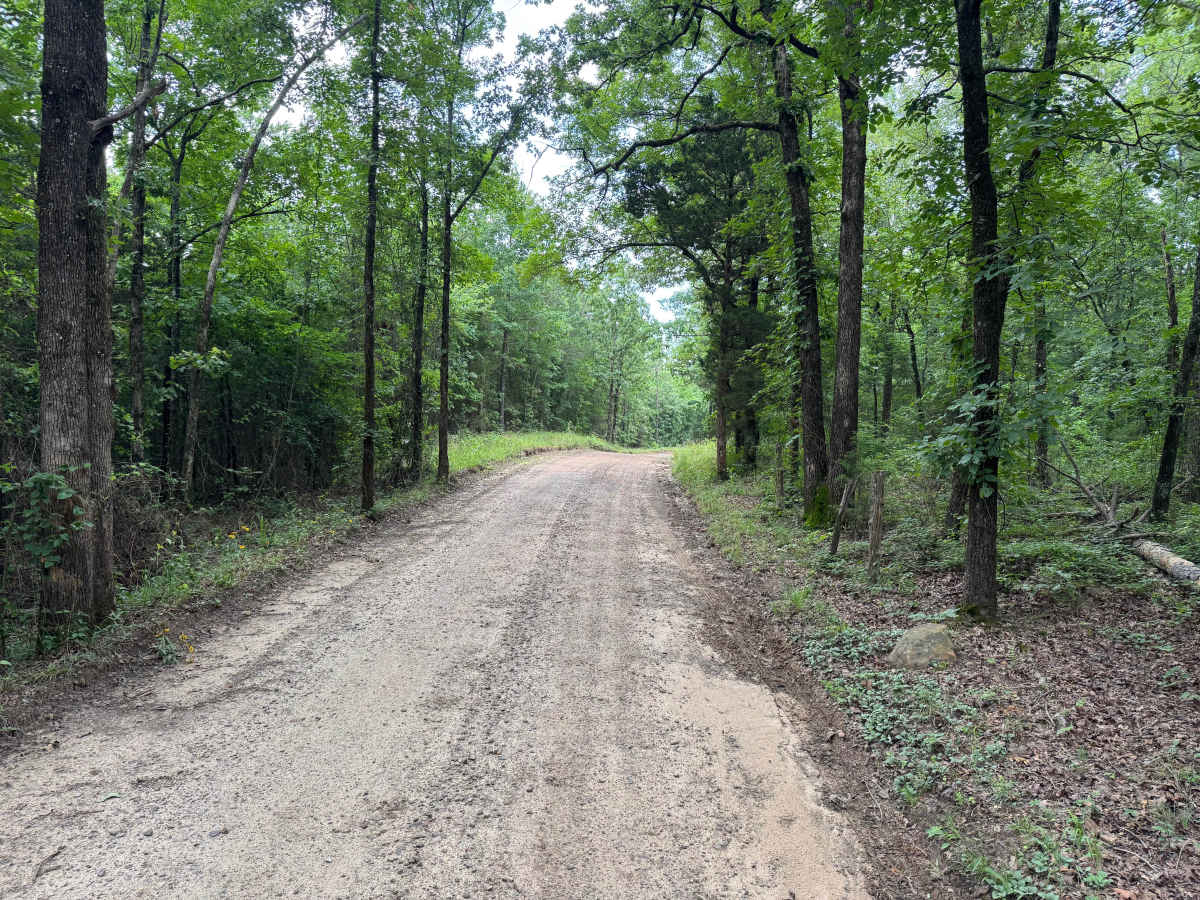 County Road 4451 photo 3