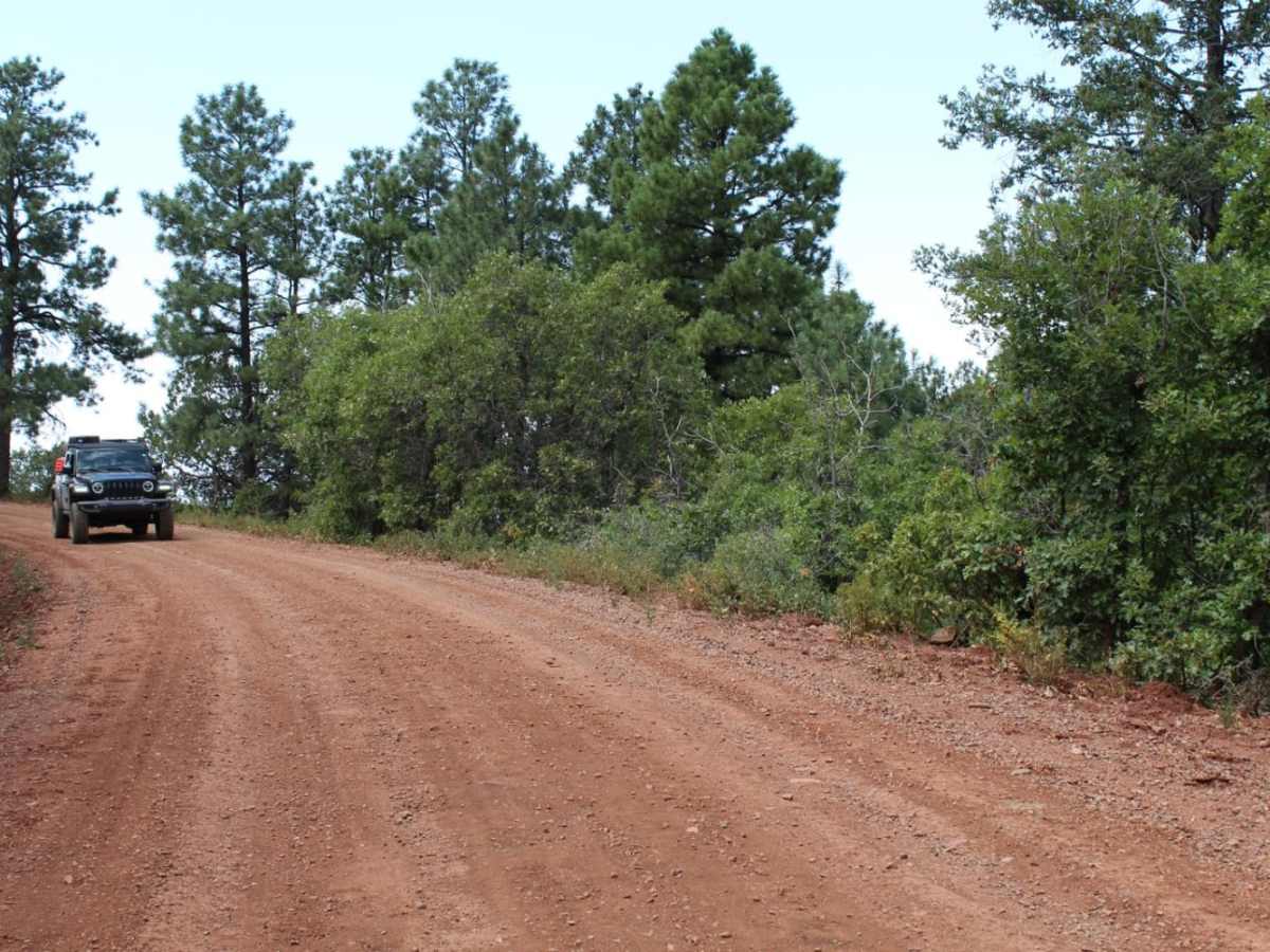 Westside Road - Mule Peak to Joplin Ridge photo 6