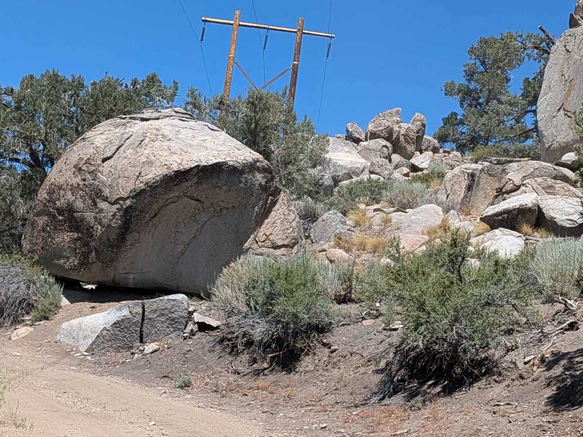 Deer Springs Road photo 5