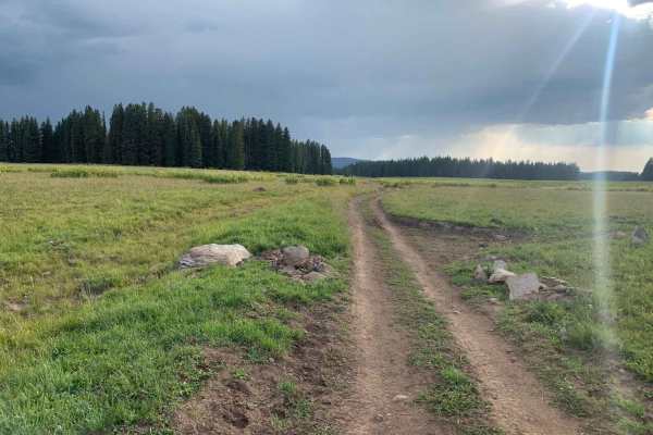 Silver Spruce to High Trail Loop