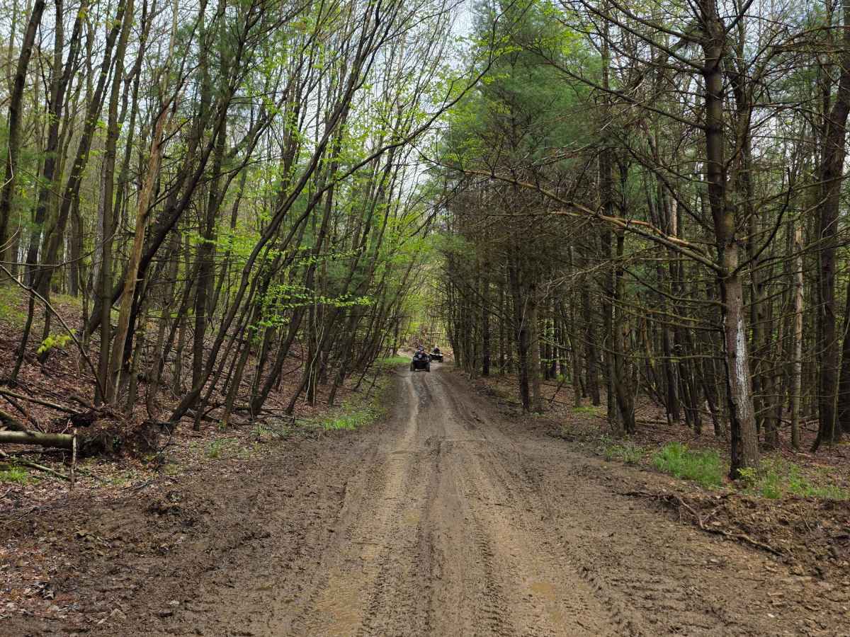 Trail 15B - Rock Run Recreation Area photo 4