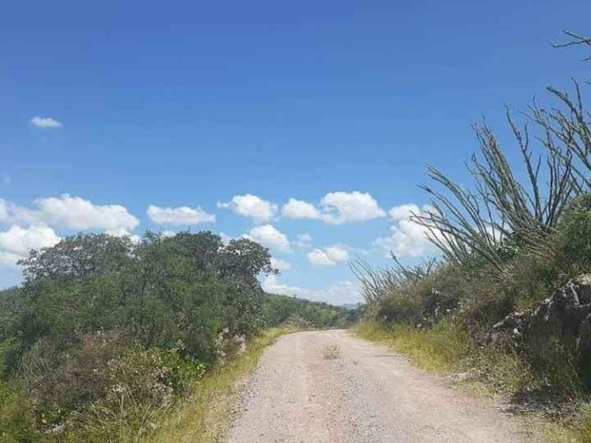 Ruby Road photo 2