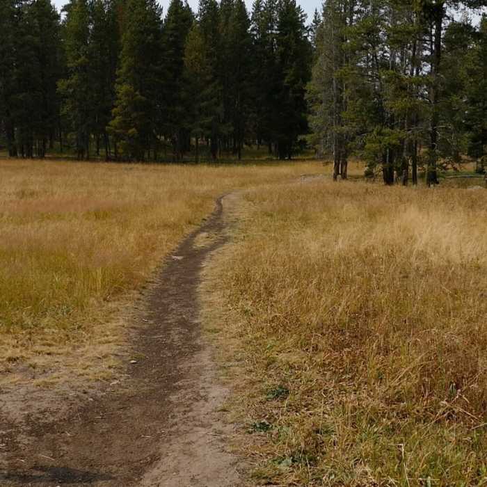 Near Clear Lake Trail
