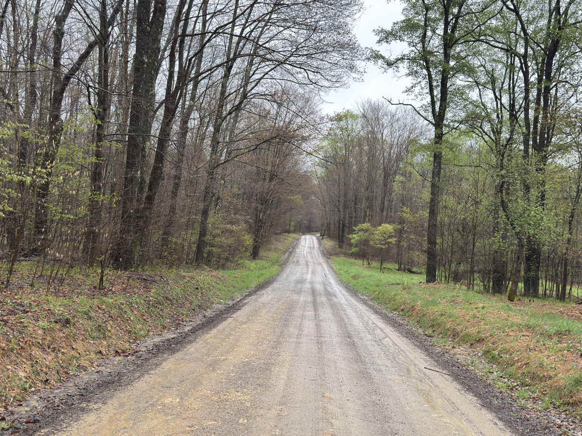 Lamonaville Road - FS 85302 photo 4