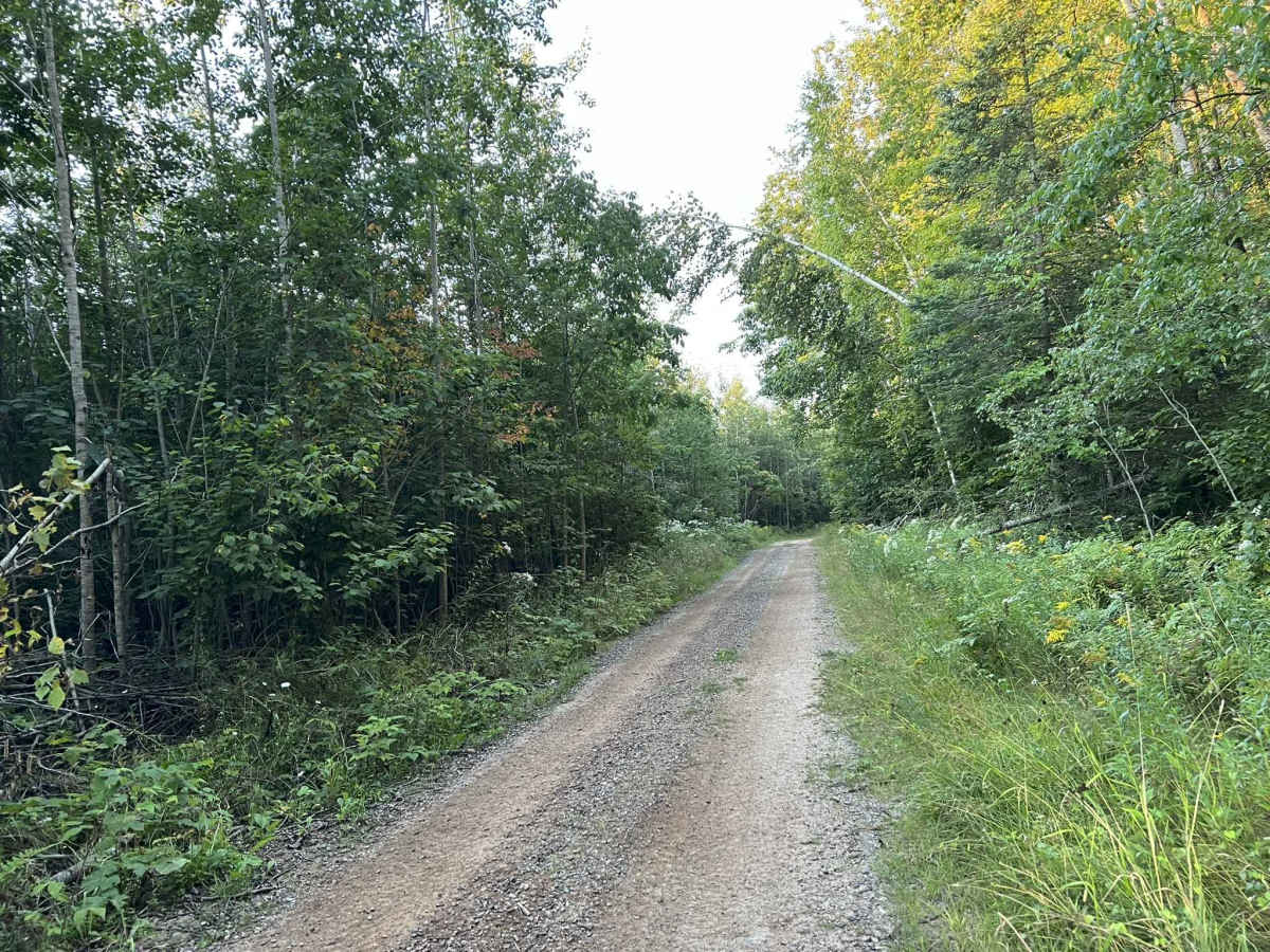 Forest County ATV/SXS 8 Mile Loop Trail 2 photo 4