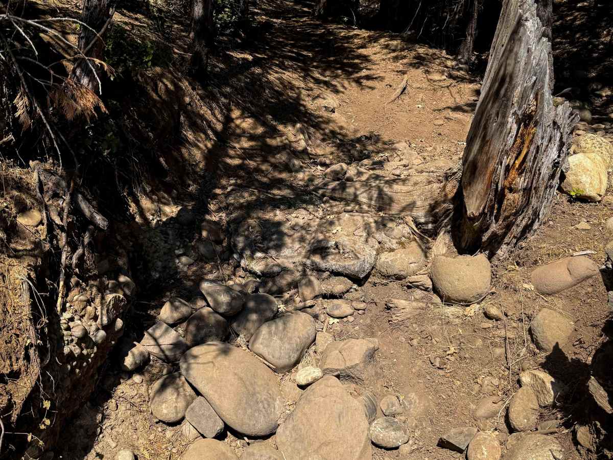 16EV54 trail photo