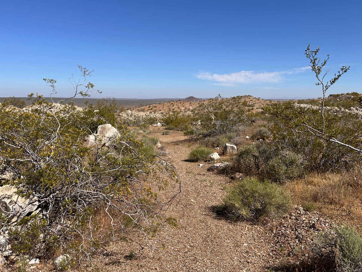 Mule Canyon trail photo